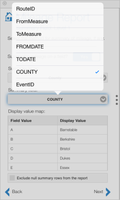 Choose the summary field